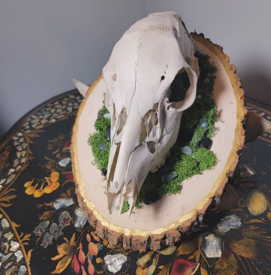 Rustic Bovine Skull Plaque